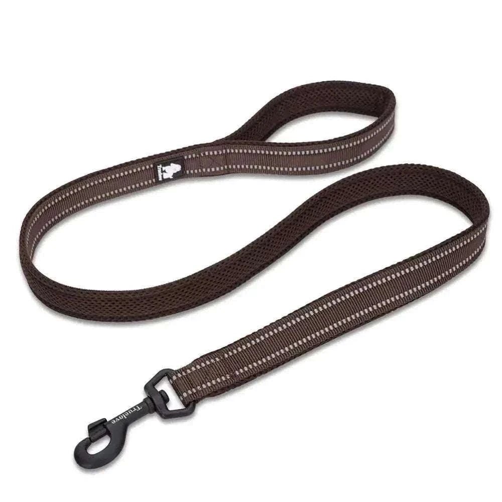 laisse chien 110 cm rembourrée marron avec coutures réfléchissantes 3M et crochet pivotant en alliage de zinc