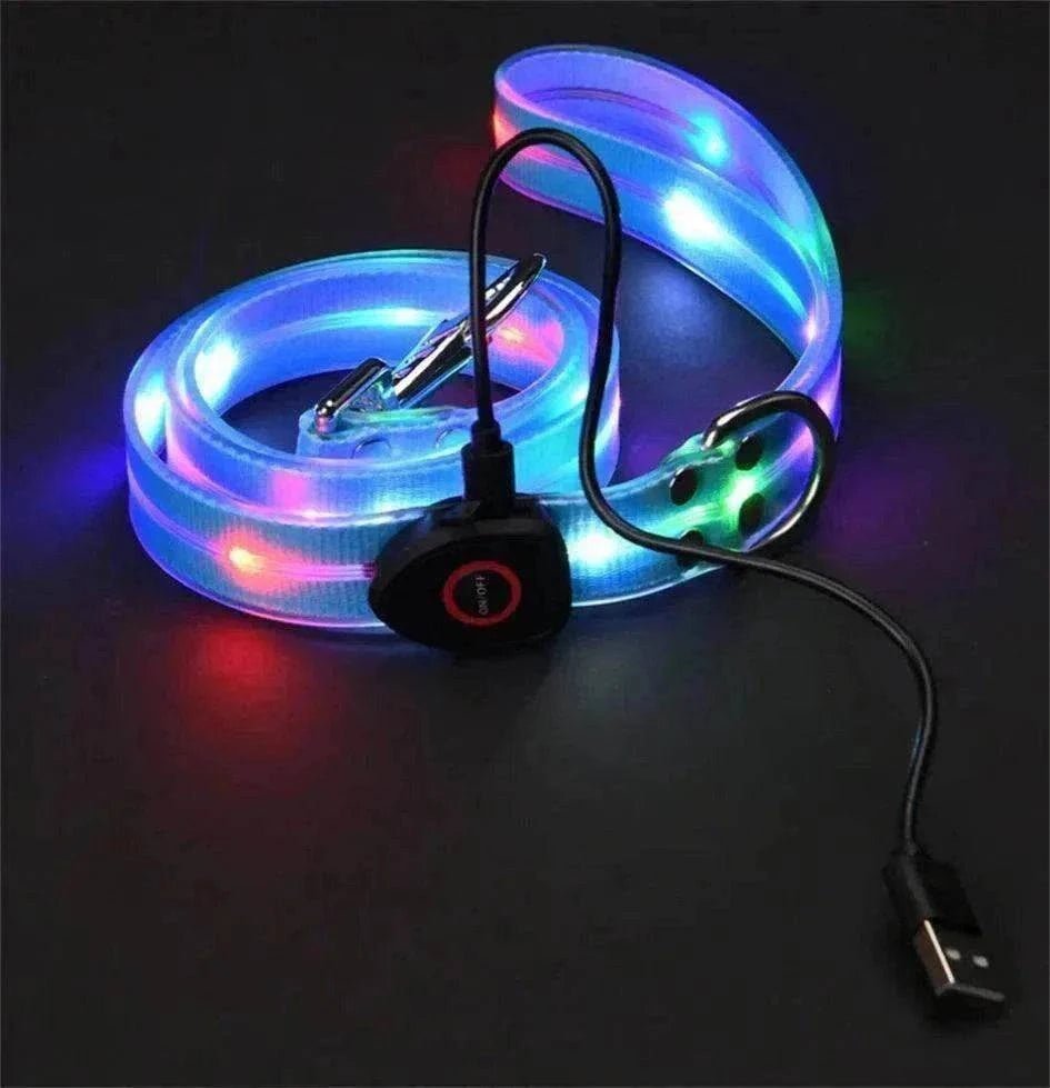 laisse et collier LED pour chien rechargeables et imperméables, sécurité nocturne haute visibilité couleur bleue et rouge