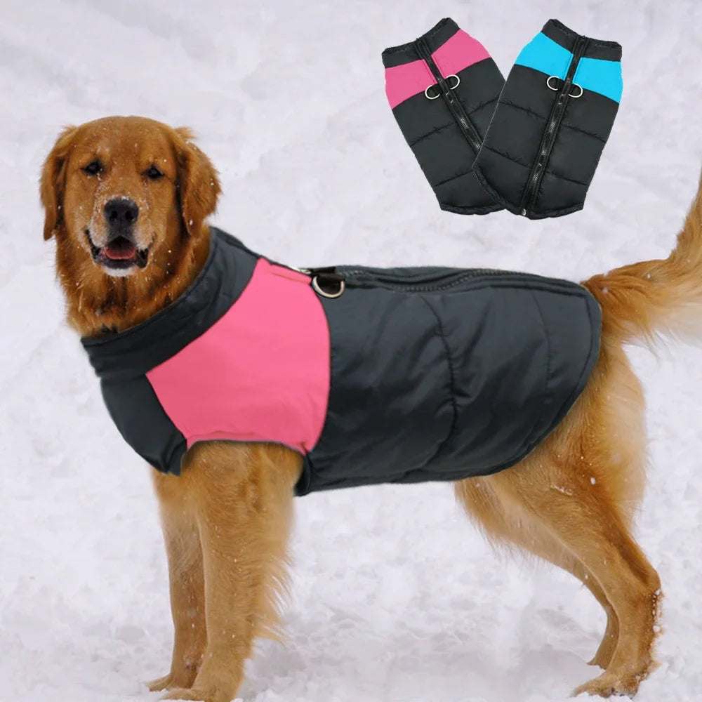 Manteau d’hiver imperméable pour chiens - Veste chaude S à 5XL - Entre Chat et Chien