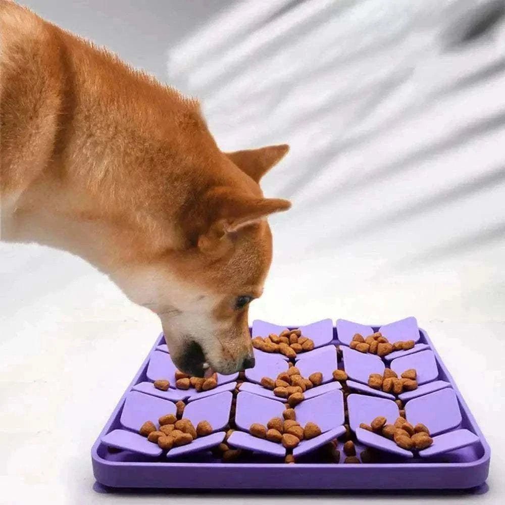 Chien utilisant un tapis de fouille et léchage en silicone violet pour ralentir son repas et stimuler son odorat.
