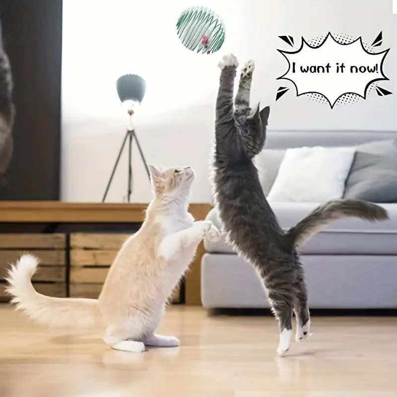 Balles de Jouet - Jouets Interactifs pour Chatons Colorés