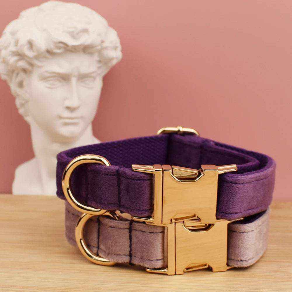 collier en velours violet personnalisable pour chien avec fermeture dorée sécurisée pour chiens moyens et grands