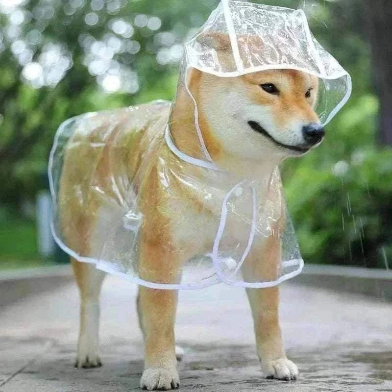 Imperméable Transparent à Capuche pour Petit Chien | Poncho PVC Souple, Léger & 100 % Imperméable - Entre Chat et Chien