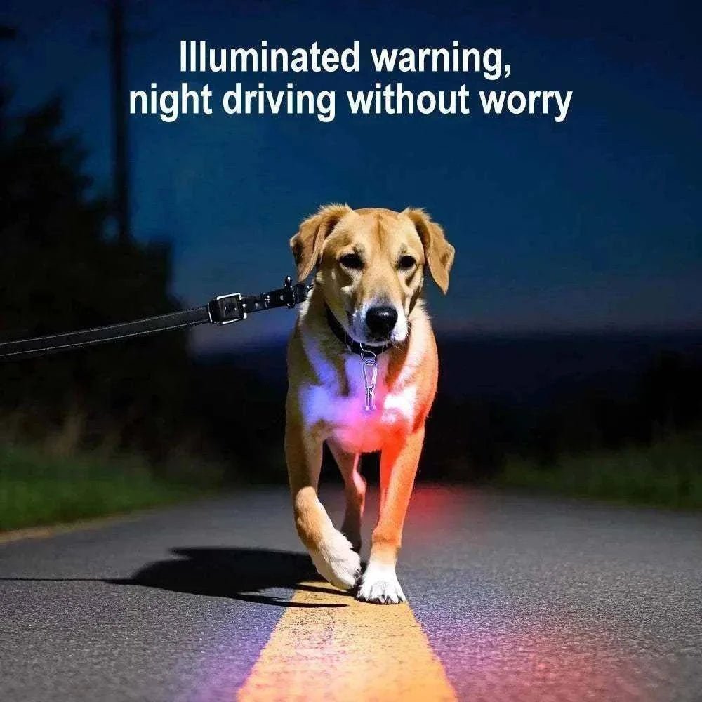 Chien portant une médaille lumineuse LED rouge pour collier, visibilité nocturne et sécurité anti-perte pendant la promenade