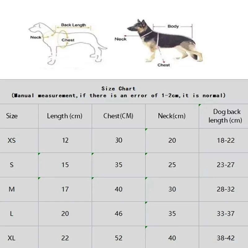 Robe de luxe pour chien | Fait main avec dentelle, perles & broderies florales