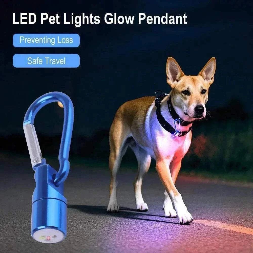 Médaille Lumineuse LED dog pendant with secure clip, waterproof and multi-color flashing light for night safety and anti-loss.