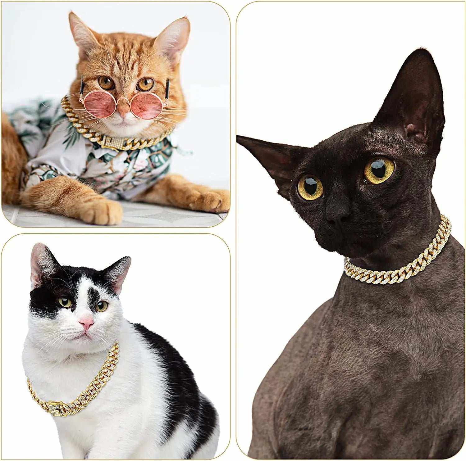 Chat portant un collier cubain dorΓ© luxueux avec strass pour cosplay et mariage