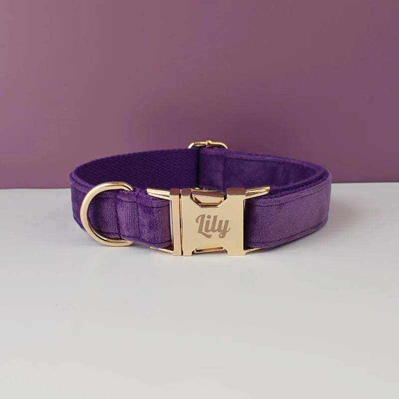 collier en velours violet personnalisable pour chien moyen à grand avec gravure dorée sécurisée et confortable