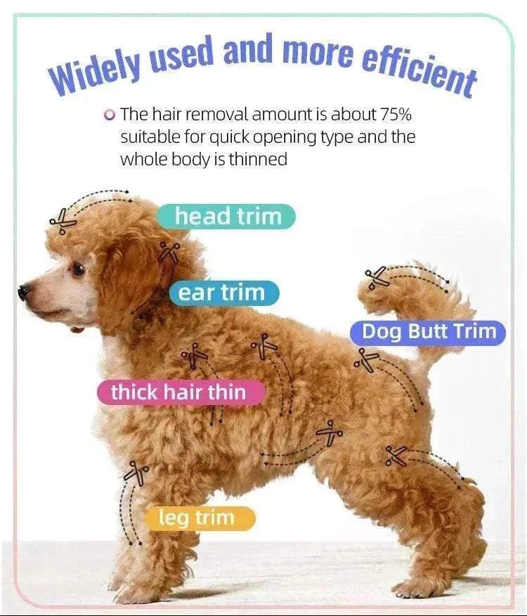 Ciseaux de toilettage Fenice en acier JP 440C pour amincissement précis du pelage chien et chat