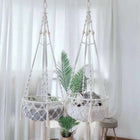 Ultimate Guide to the Essentials for Welcoming a Happy, Healthy Cat