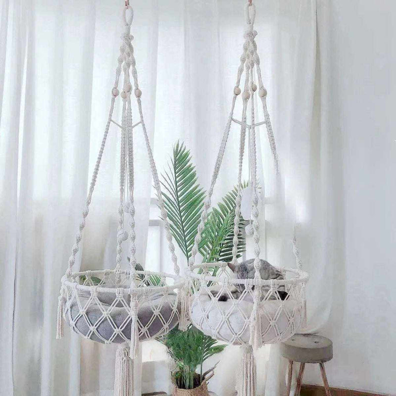 Ultimate Guide to the Essentials for Welcoming a Happy, Healthy Cat