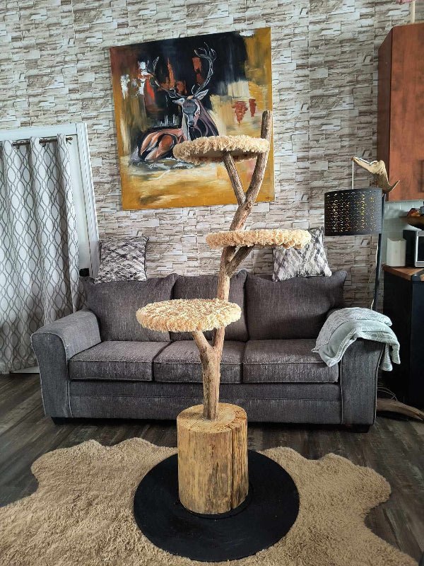 Talie Crafts - Handmade Creations for Animals