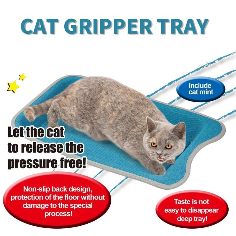 Planche à Griffer Durable | Divertissement pour Chats | Coloré