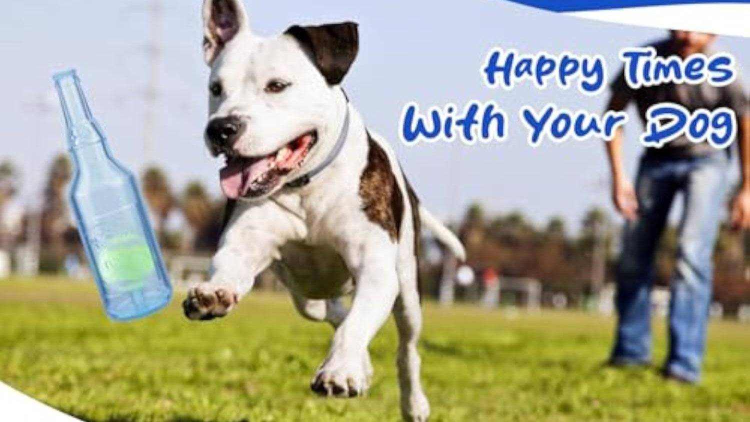 Chien jouant avec une bouteille jouet indestructible pour mâchouilleurs