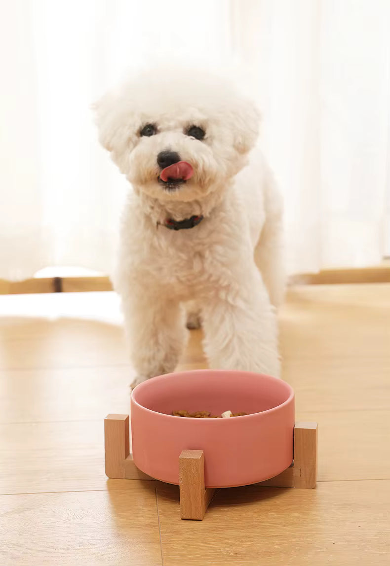 Premium Ceramic Bowls for Dogs and Cats - Non-Slip Wooden Stand