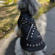 Veste d’hiver pour chiens | Style cuir chic et protection optimale - Entre Chat et Chien