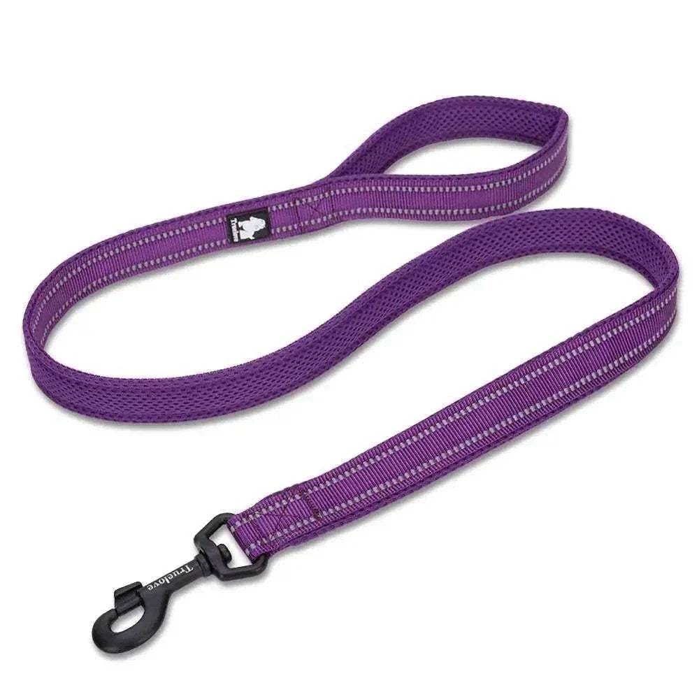 laisse chien rembourrée 110 cm Truelove nylon avec coutures réfléchissantes 3M pour sécurité et confort promenade