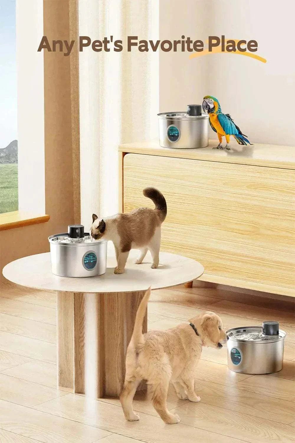Fontaine à eau automatique en acier inoxydable 3,2L pour chiens et chats avec capteur de mouvement silencieux et filtration multi-couches