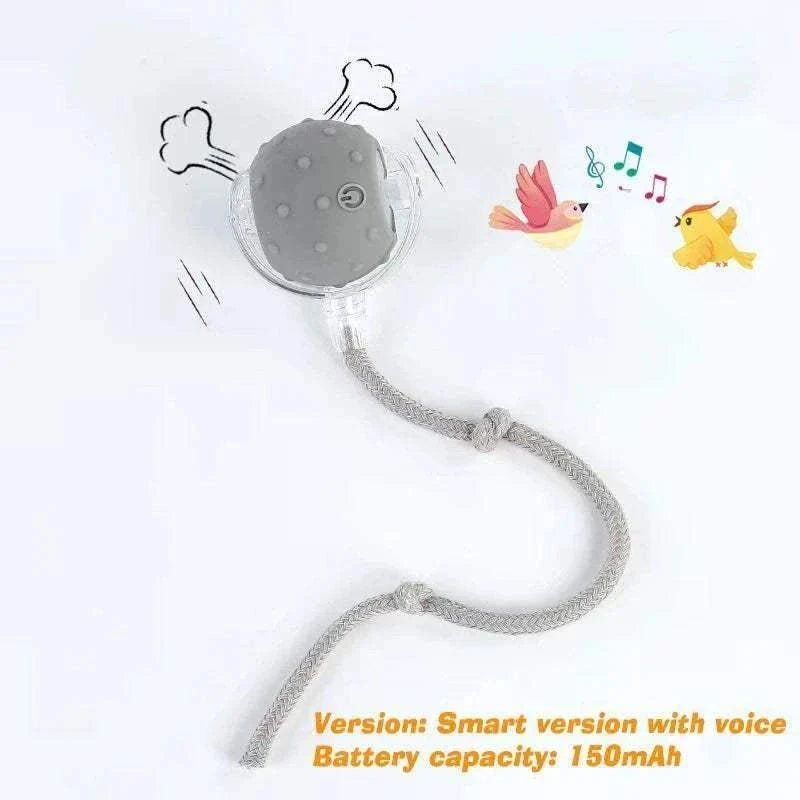 Balle interactive pour chiens grise, sonore et lumineuse - jouet durable rechargeable
