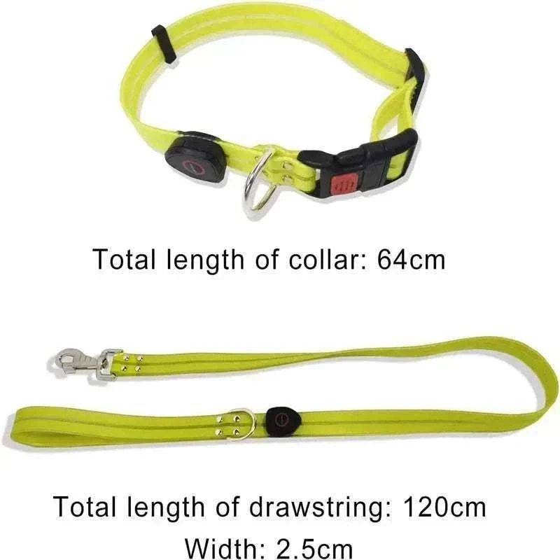 collier et laisse LED jaune pour chien, haute visibilité, imperméable, rechargeable USB, longueur 64 cm collier et 120 cm laisse, sécurité nocturne