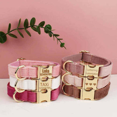 Collier en velours pour chien personnalisé avec gravure gratuite, confortable et élégant pour chiens moyens et grands.