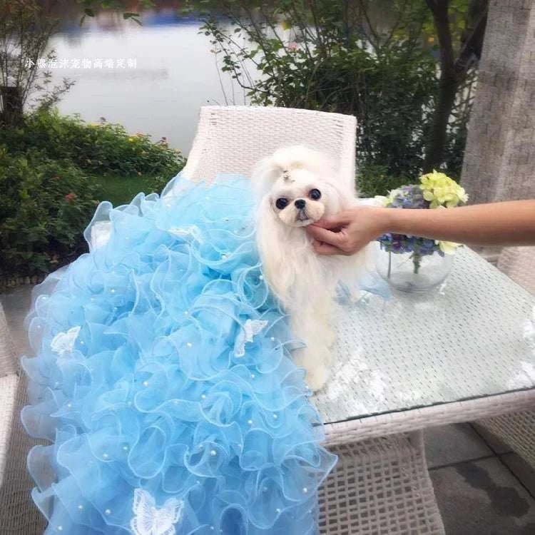Robe de luxe pour chien | Fait main avec dentelle, perles & broderies florales