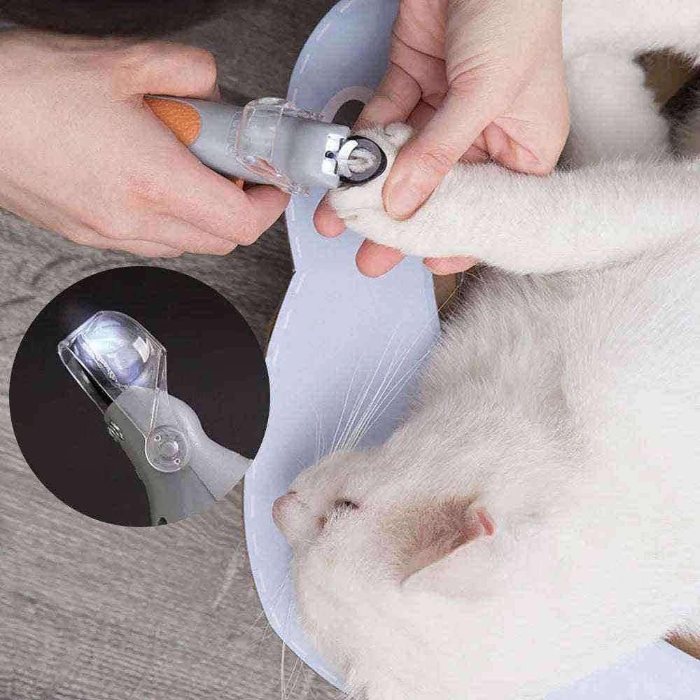 coupe-griffes LED pour animaux avec lumière intégrée, lame en acier inoxydable, ergonomique, pour soins précis des griffes de chats et petits chiens