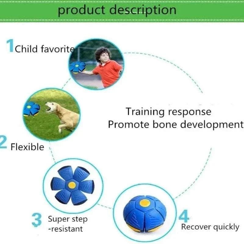 Phlat ball Transformable Chiens - Jouet Extérieur Entraînement