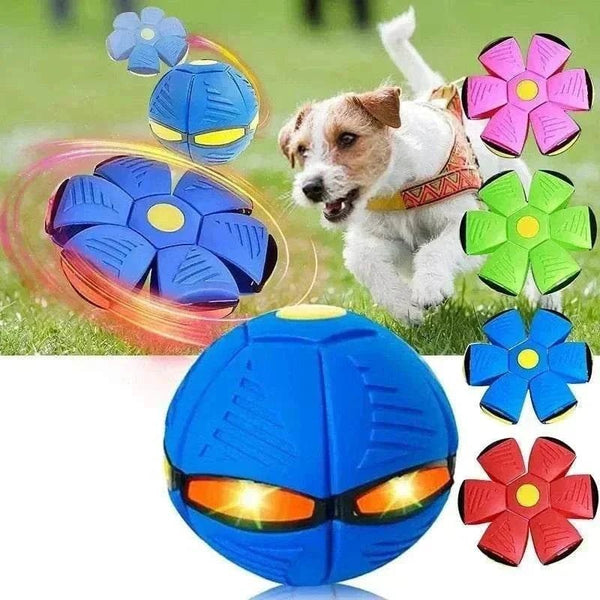 Transformable Phlat Ball for Dogs | Frisbee & Interactive Outdoor Training Ball