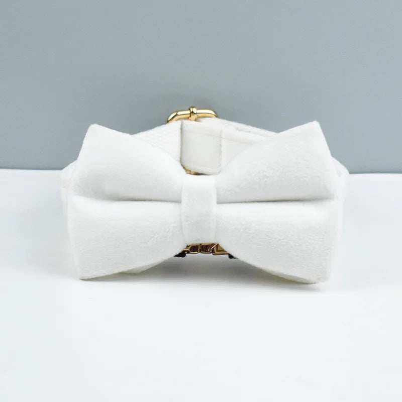 collier en velours blanc avec nœud papillon pour chien moyen à grand, personnalisable avec gravure gratuite, design élégant et confortable