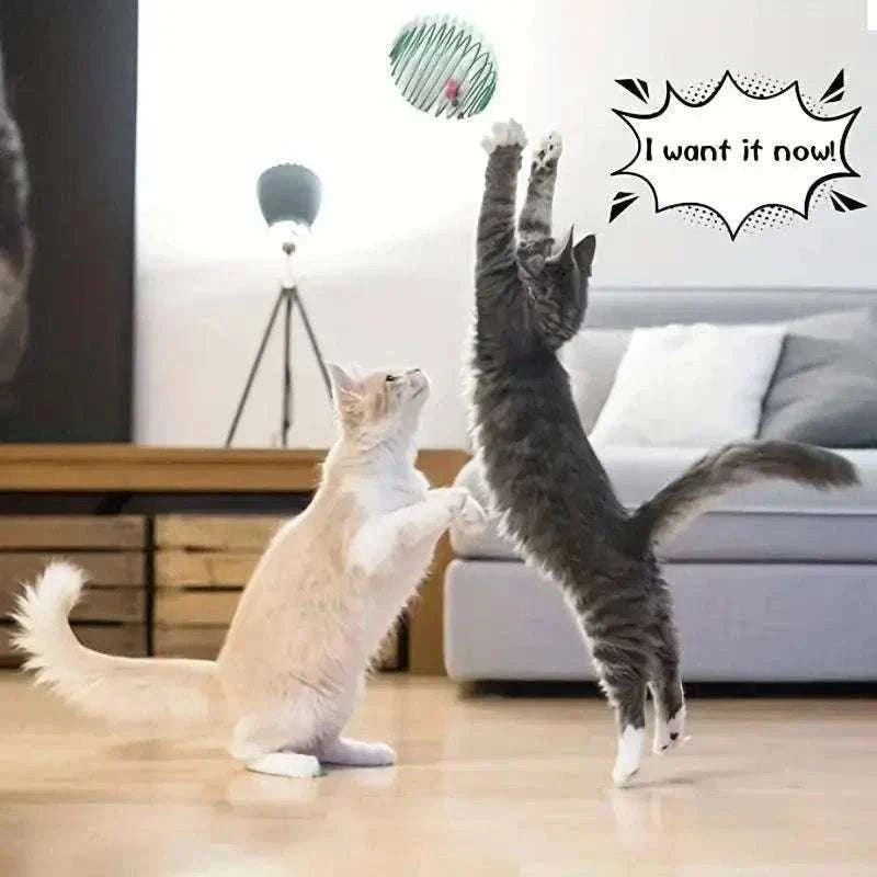 Balles de Jouet - Jouets Interactifs pour Chatons Colorés