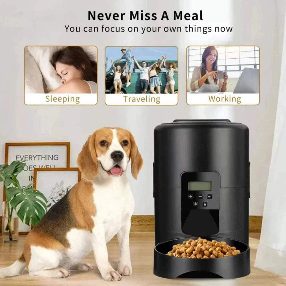 Distributeur Automatique Intelligent Petavista | Version Bouton/WiFi