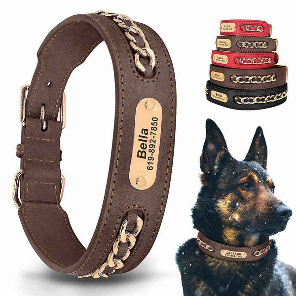 Personalized Leather Collar | Engraved Dog Tag