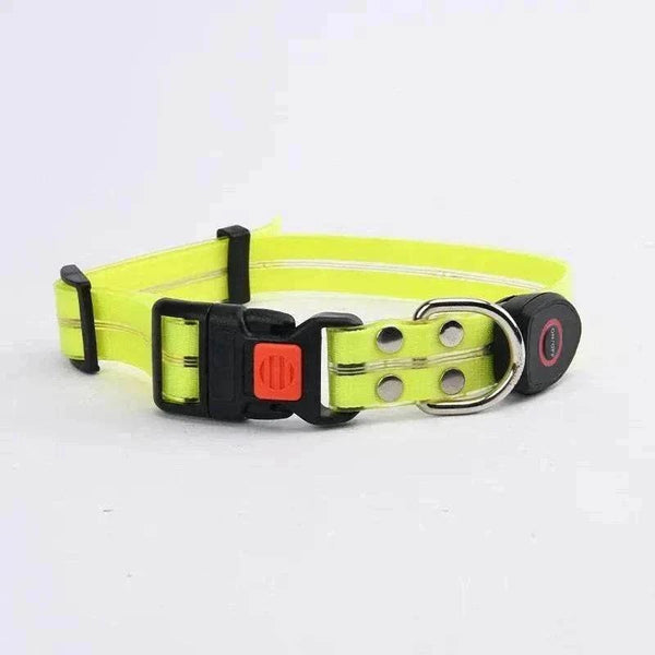 LED Light-Up Dog Leash and Collar | Night Safety, Waterproof & Rechargeable