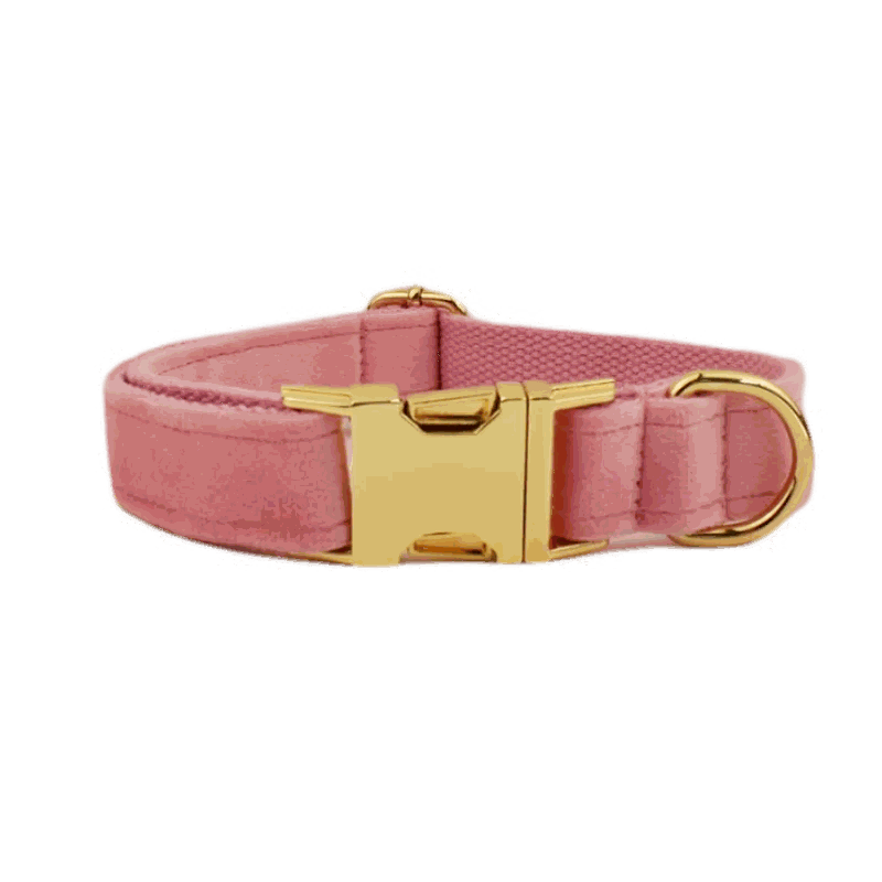 collier en velours rose pour chien avec fermeture dorée et anneau pour laisse, personnalisable et confortable pour chiens moyens et grands