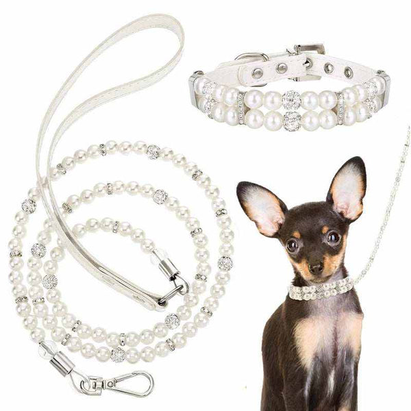 Luxury Pet Collar and Leash | PU Leather Set