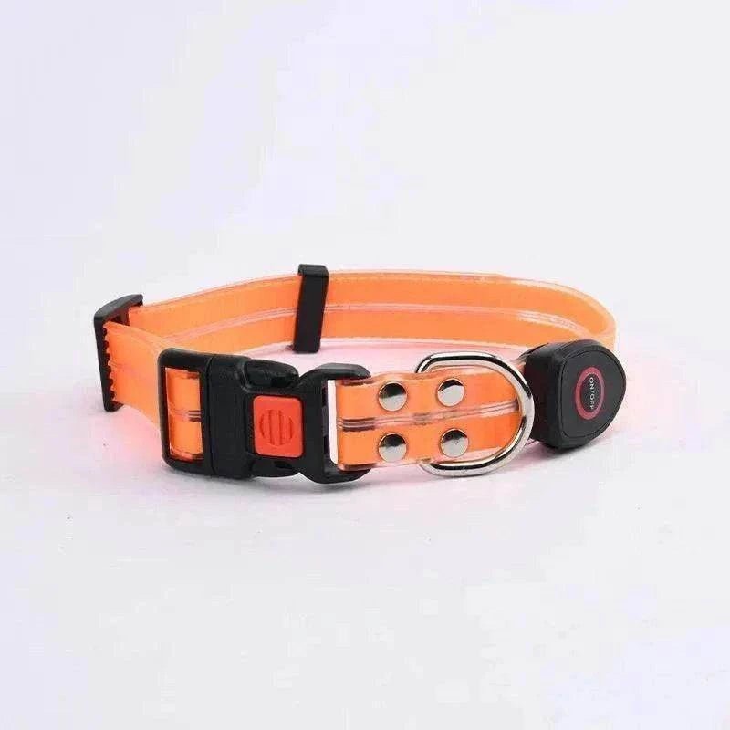 Collier LED lumineux orange pour chien, imperméable, rechargeable par USB, visibilité maximale pour sécurité nocturne