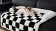 tapis à carreaux noir et blanc doux et rembourré pour chien avec bordure, posé sur canapé avec un chat blanc et beige allongé dessus