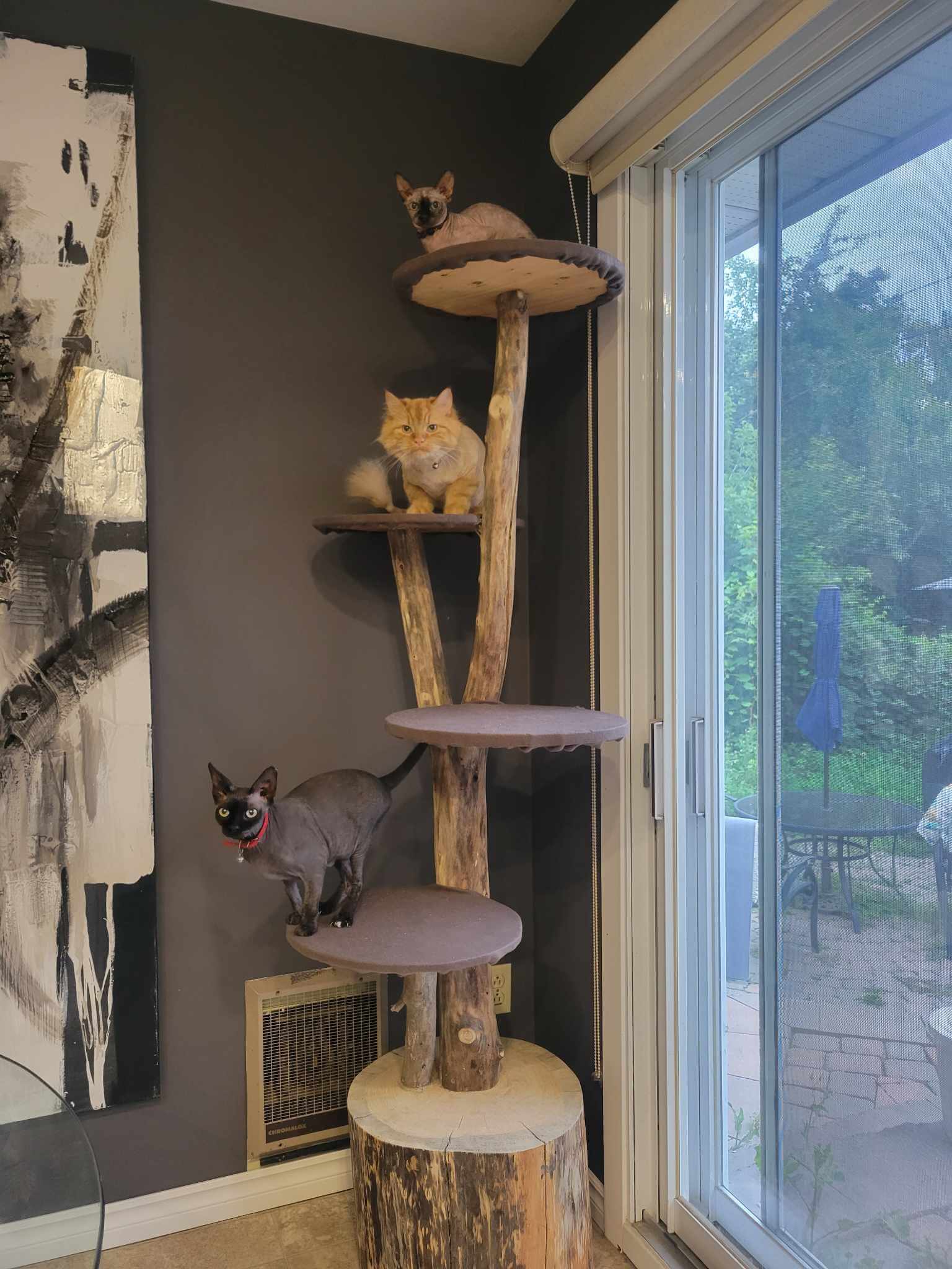 Arbre à chat artisanal avec trois chats dans un salon moderne - Plateformes taupe sur base souche - Fait main au Québec