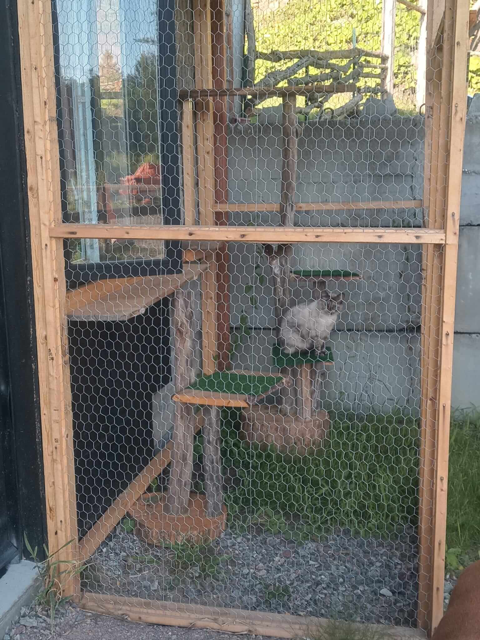 Catio extérieur avec arbre à chat intégré - Enclos sécurisé pour chats - Aménagement sur mesure Talie