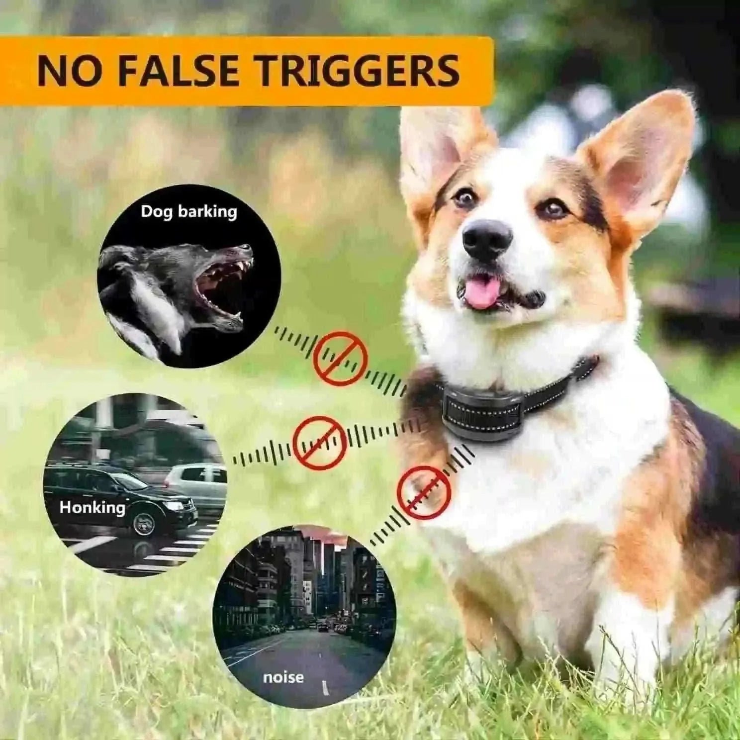 Anti-Bark Collar for Dogs | Rechargeable, Waterproof & Smart 