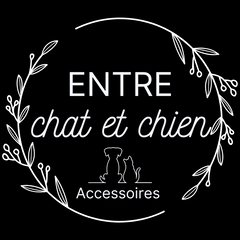 Entre Chat et Chien